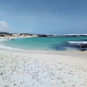 Calma On The Amazing In Fuerteventura Cotillo